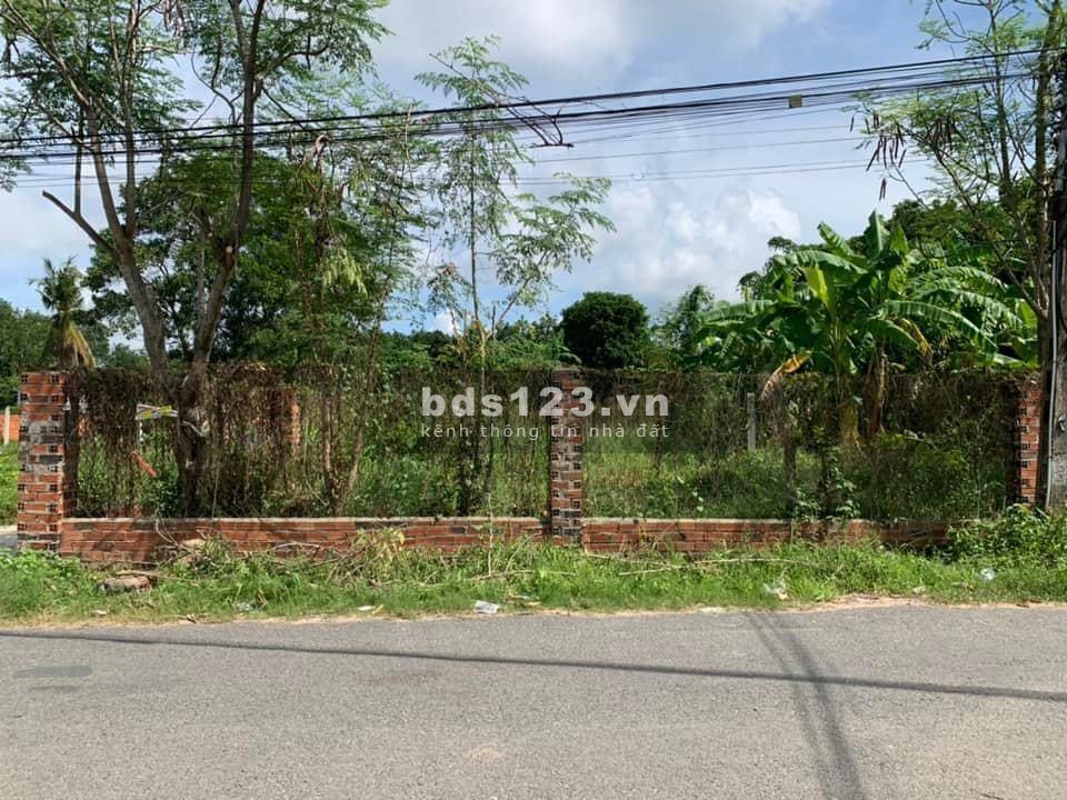 Bán đất thổ cư 300m2 ngay TL 786, Gia Lộc, Trảng Bàng Tây Ninh SHR 525 triệu