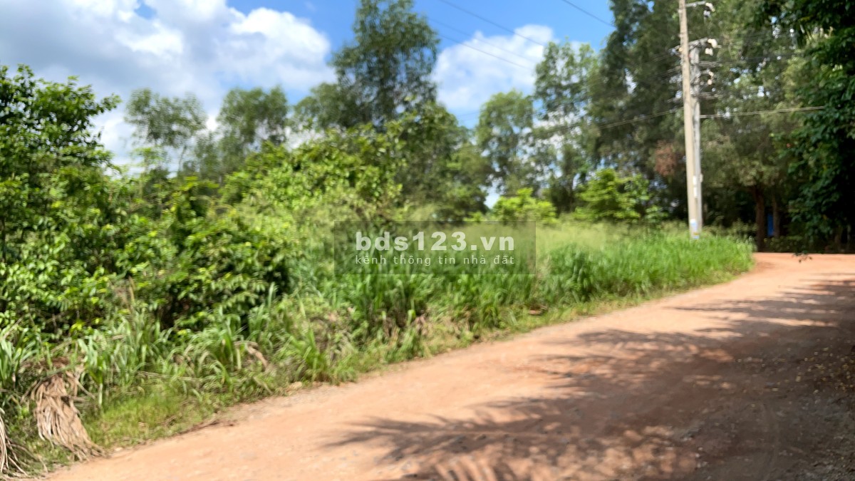 Bán lô góc 2 mặt tiền 1390m ngay chợ Thùng Thơ An Tây Bến Cát, giá rất rẽ phù hợp đầu tư