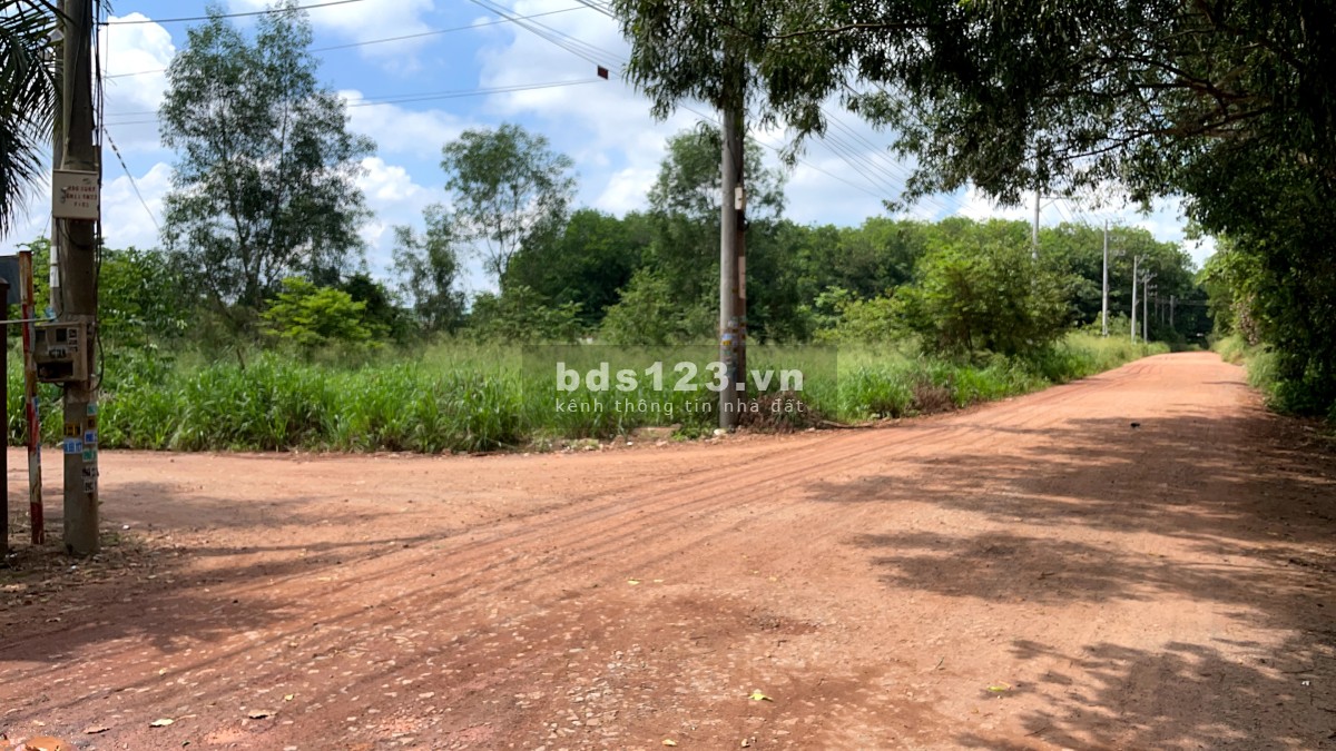 Bán lô góc 2 mặt tiền 1390m ngay chợ Thùng Thơ An Tây Bến Cát, giá rất rẽ phù hợp đầu tư