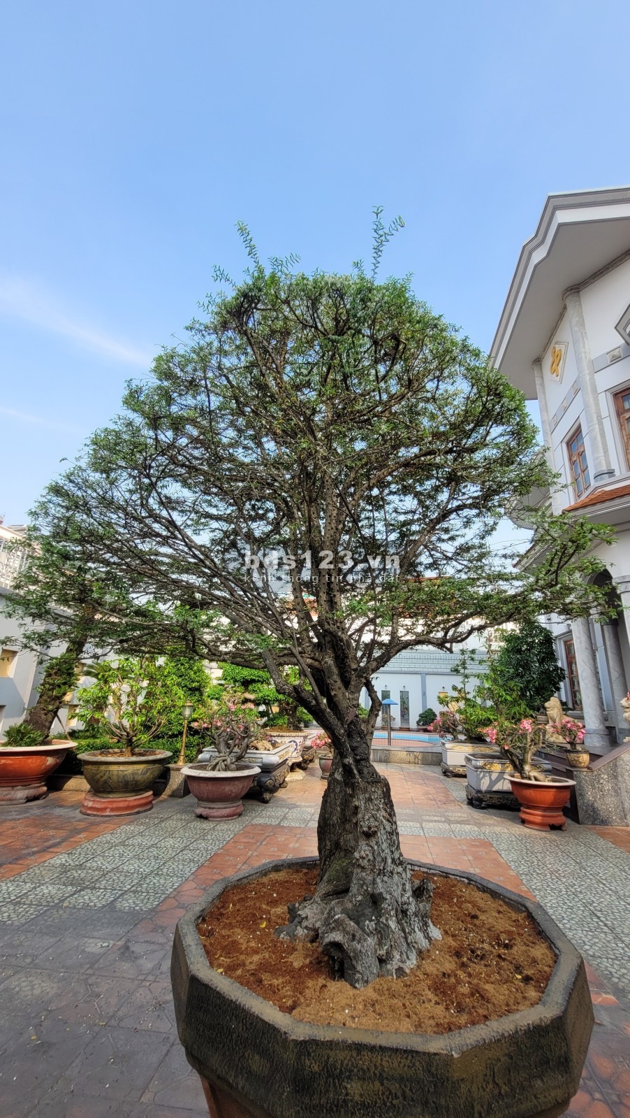 Biệt thự trăm tỷ, 1000mv, Hồ Bá Phấn, Phước Long A, Quận 9.