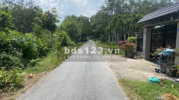 Chủ cần bán gấp lô đất Mt 762 xã An nhơn tây