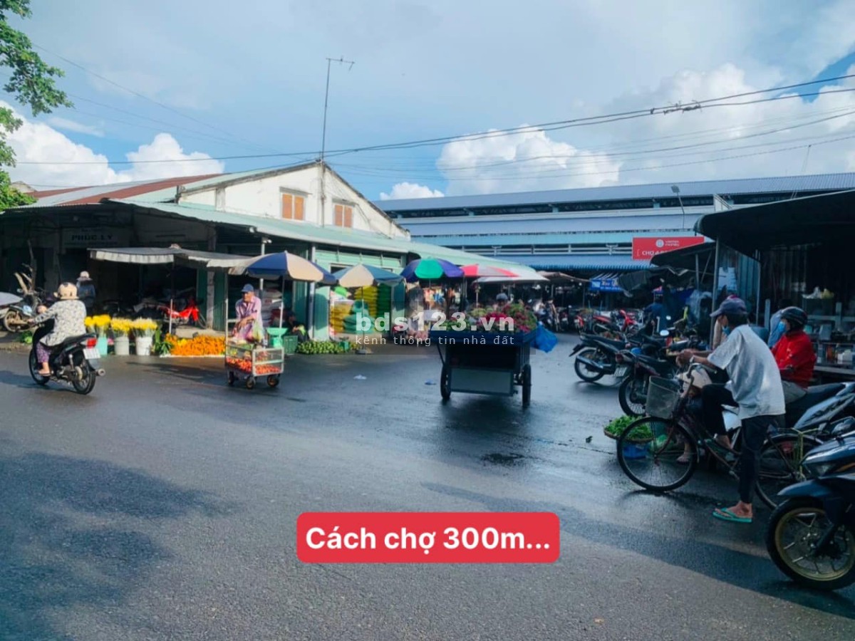 Bán đất 300m2 - 5x60 . 100 thổ cư. giá 490tr. đối diện KCN tân hưng