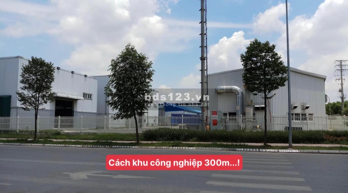 Bán đất 300m2 - 5x60 . 100 thổ cư. giá 490tr. đối diện KCN tân hưng