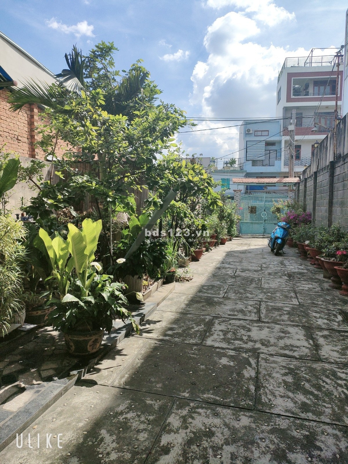 Chính chủ cần bán nhà mặt tiền Lý Tế Xuyên, Linh Đông, Thủ Đức. Diện tích 634m2, chỉ 36 tỷ nhỉnh.
