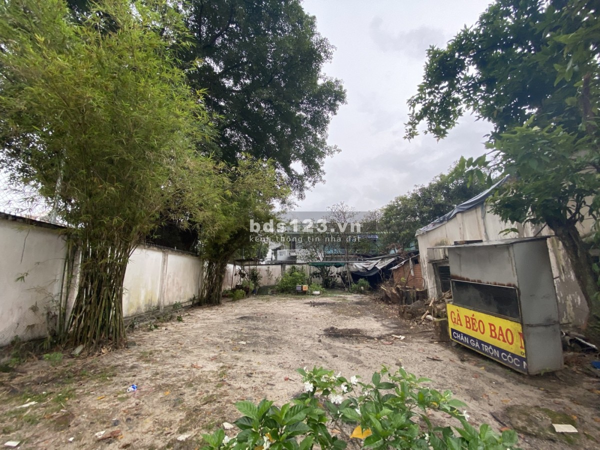 Bán đất tặng nhà cấp 4, diện tích 1254m2, full thổ cư, Kha Vạn Cân, Linh Chiểu, Thủ Đức.
