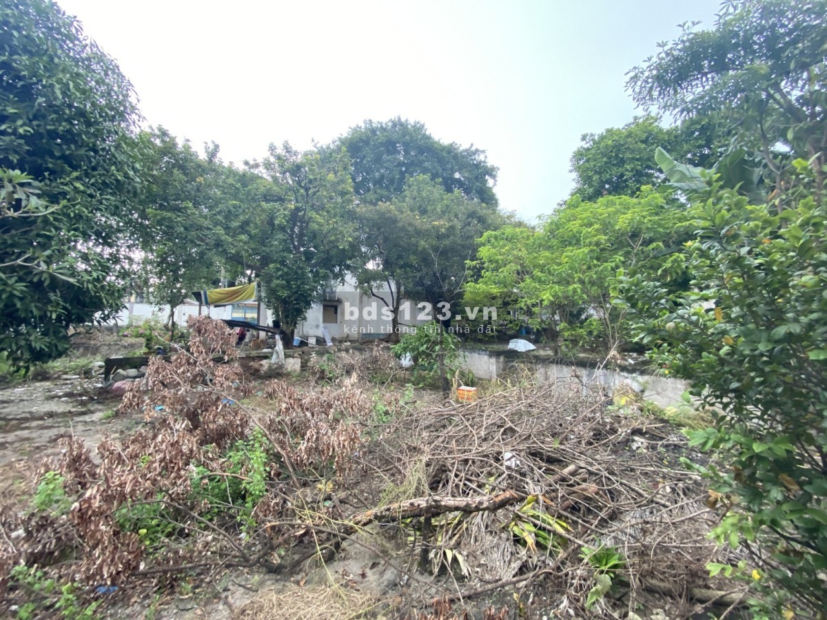 Bán đất tặng nhà cấp 4, diện tích 1254m2, full thổ cư, Kha Vạn Cân, Linh Chiểu, Thủ Đức.