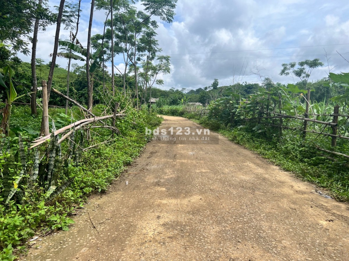 Chỉ 120tr a chị đã có ngay lô đất 138m trong đó có 63m đất ở bám đường betong tại Tân Lạc-Hòa Bình