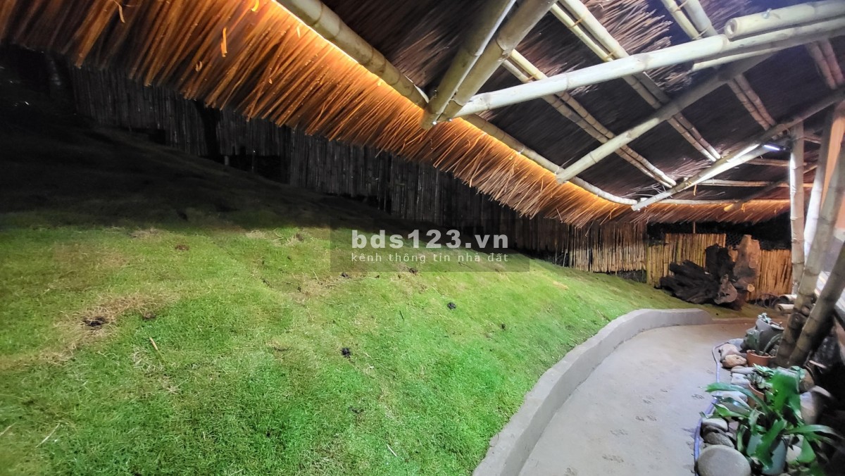 Bán Homestay View Đỉnh Ngay Trung Tâm Cầu Đất