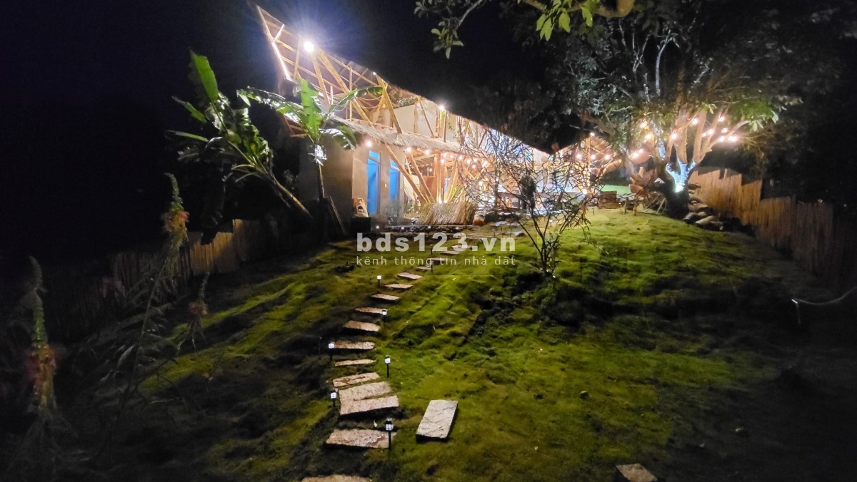 Bán Homestay View Đỉnh Ngay Trung Tâm Cầu Đất