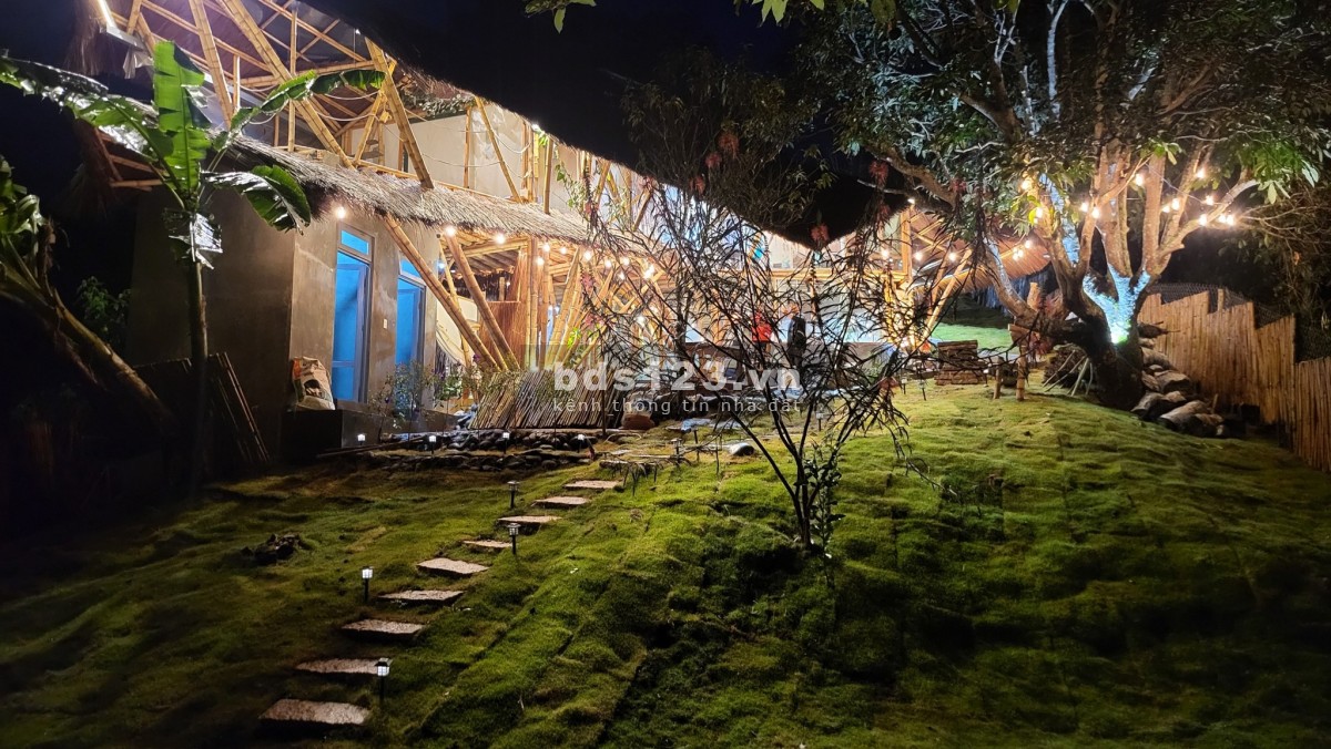Bán Homestay View Đỉnh Ngay Trung Tâm Cầu Đất