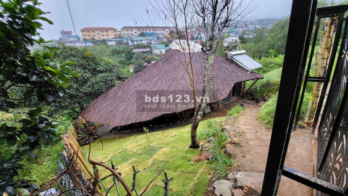 Bán Homestay View Đỉnh Ngay Trung Tâm Cầu Đất