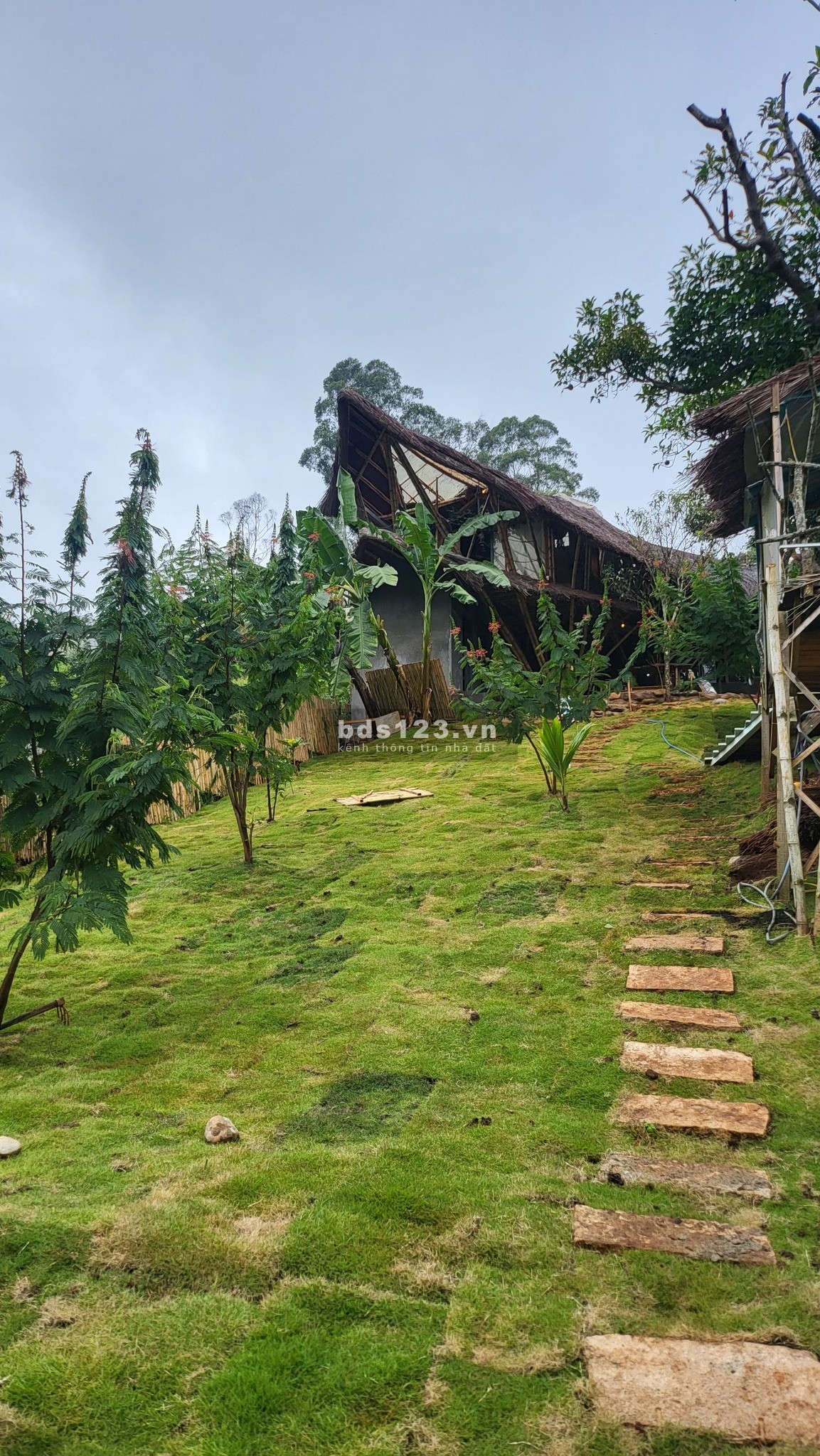 Bán Homestay View Đỉnh Ngay Trung Tâm Cầu Đất