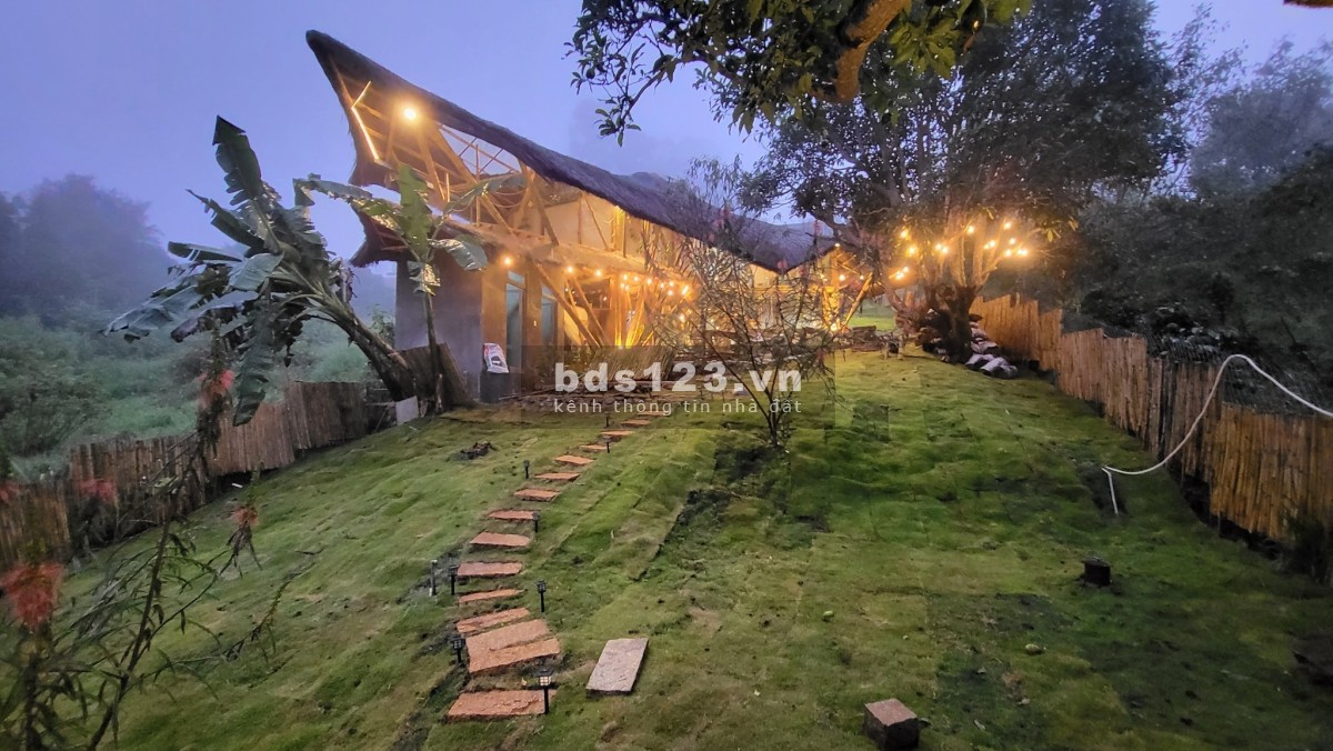 Bán Homestay View Đỉnh Ngay Trung Tâm Cầu Đất