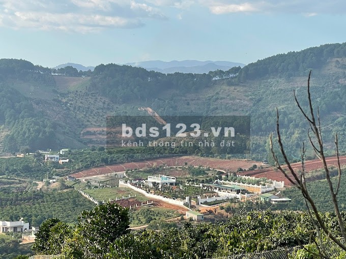 Bán đất giá không tưởng, Đất Nam Ban - Đà Lạt (Cách trung tâm 18km)