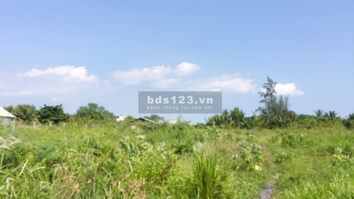 Bán đất diện tích 4020m2, Bưng Ông Thoàn, Phú Hữu, Quận 9. Giá bán chỉ 11 triệu/m2.