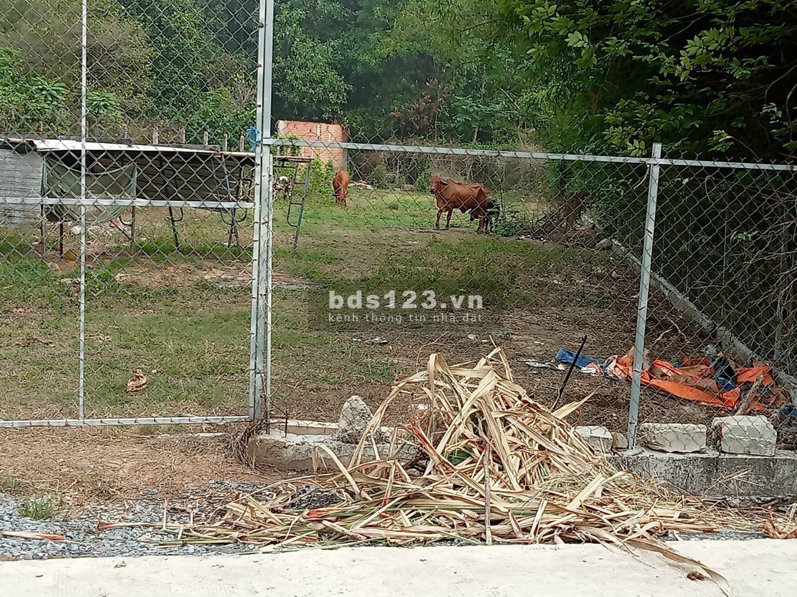 Chính chu cần bán lô đất xã Nhuận Đức huyện Củ Chi