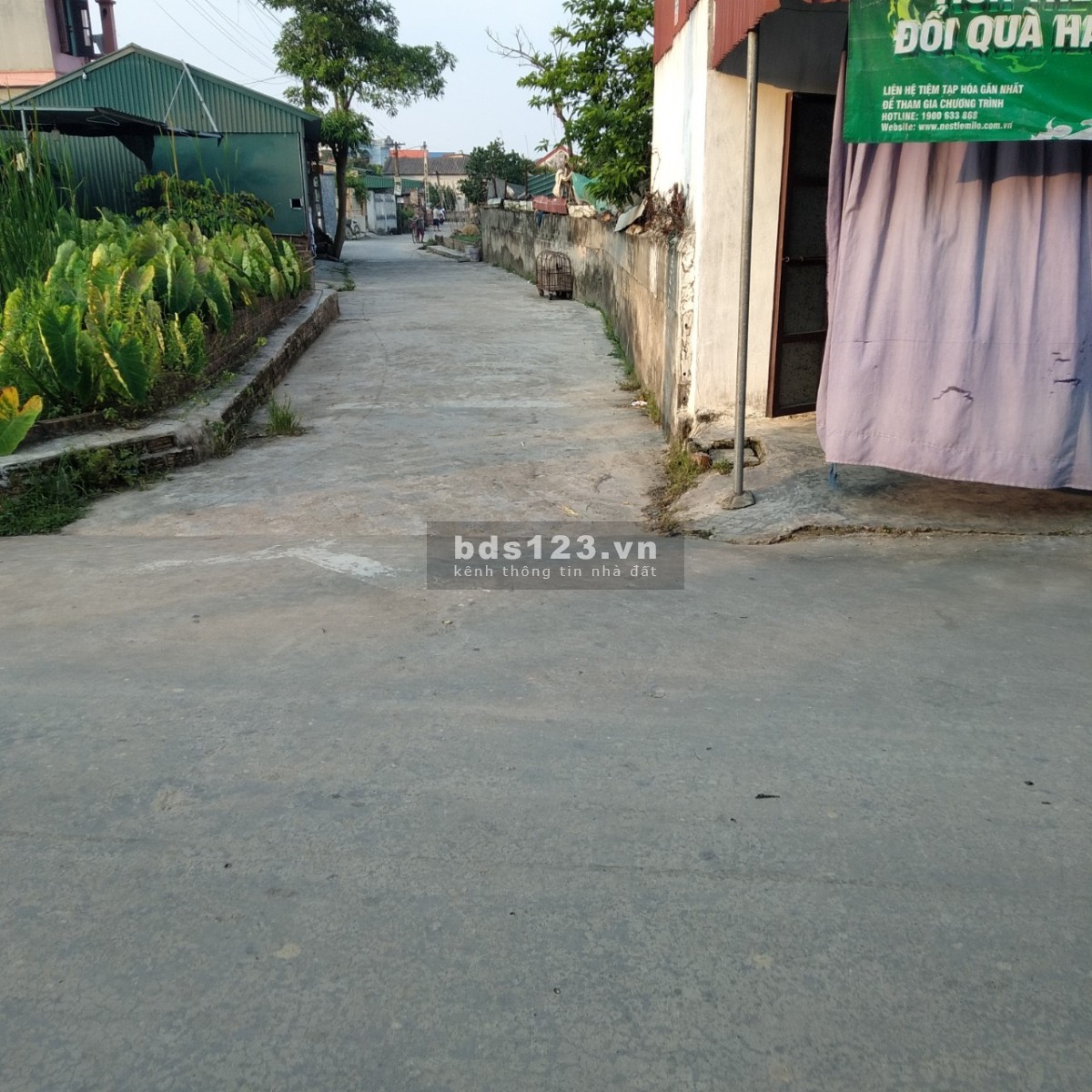 Chính chủ bán đất sổ hồng 317m2