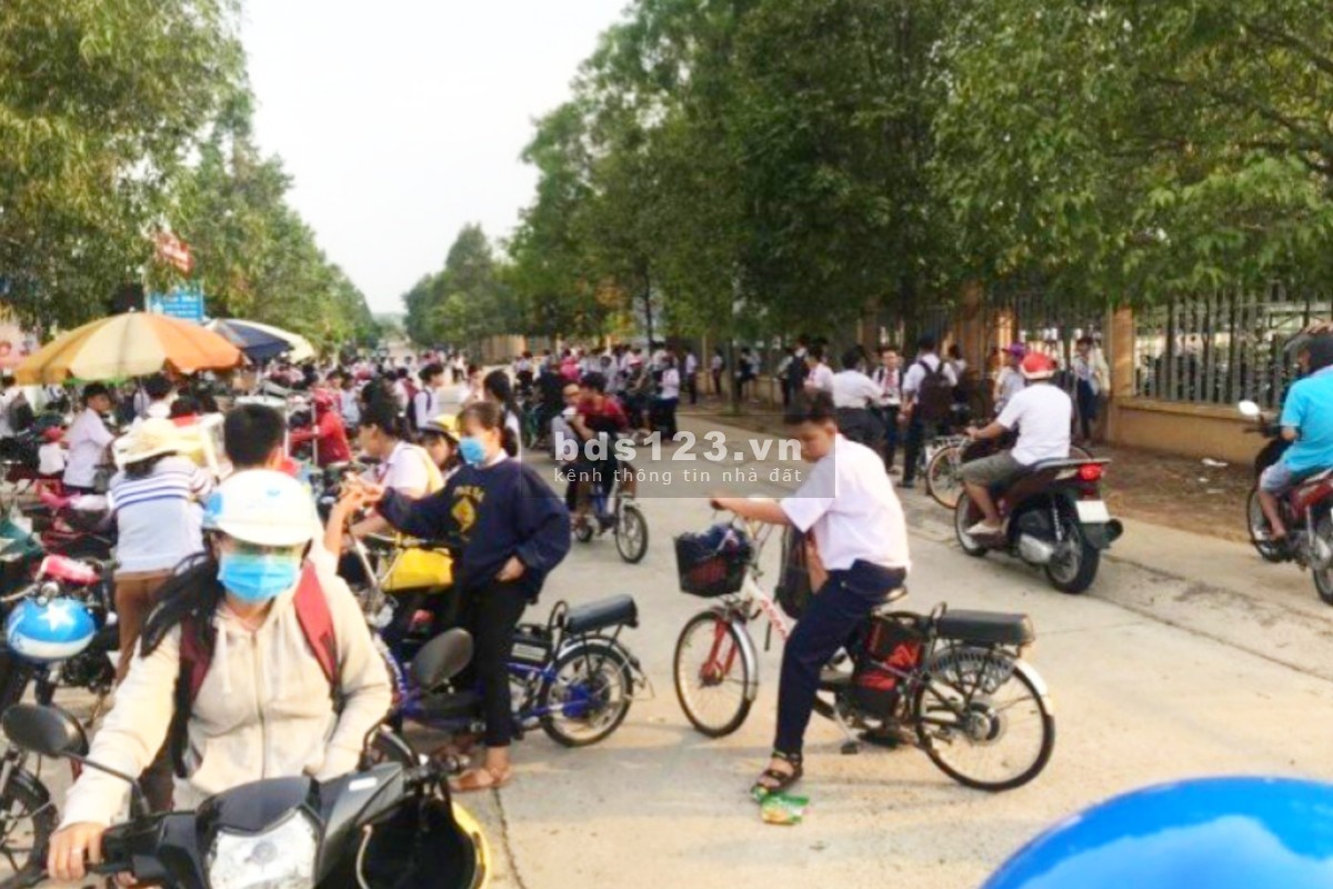 Tôi Chủ bán gấp 450M2 và 2 dãy nhà trọ, giá 1 tỷ 1. Gần chợ, sát trường học