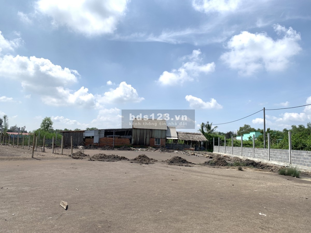 Cần bán đất xã Bình Khánh cần giờ TP HCM.DT 800m loại đất trồng cây lâu năm.