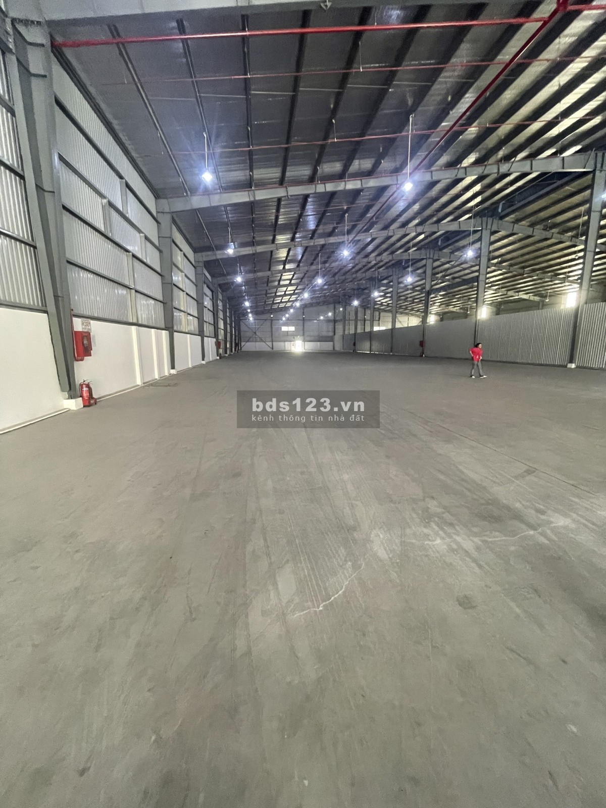 Cần cho thuê kho xưởng đẹp mới trong KCN Cát Lái, Quận 2.