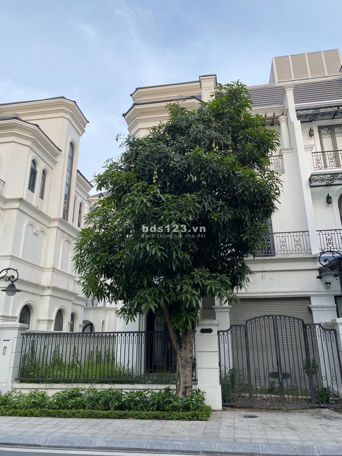 Bán gấp song lập san hô cạnh hồ 150m2 giá sốc 21.5 tỷ vinhomes ocean park