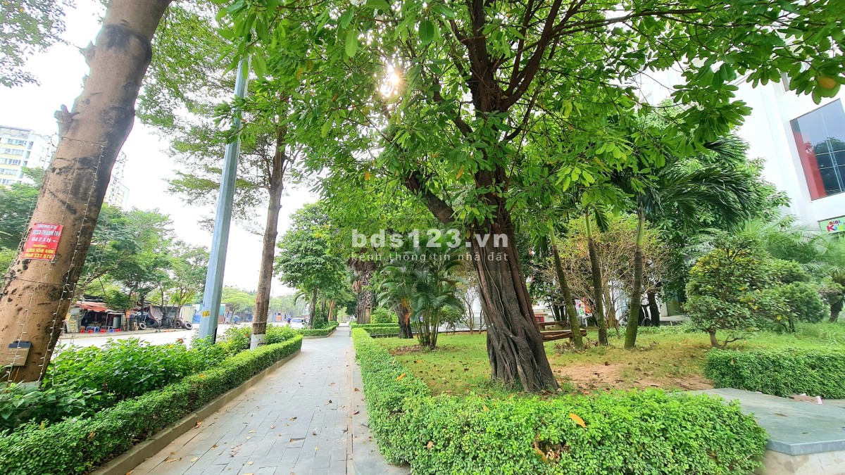 Tại Sao “dự án Tecco Garden” là từ khóa tìm kiếm hàng đầu tại thị trường chung cư - 0981389191