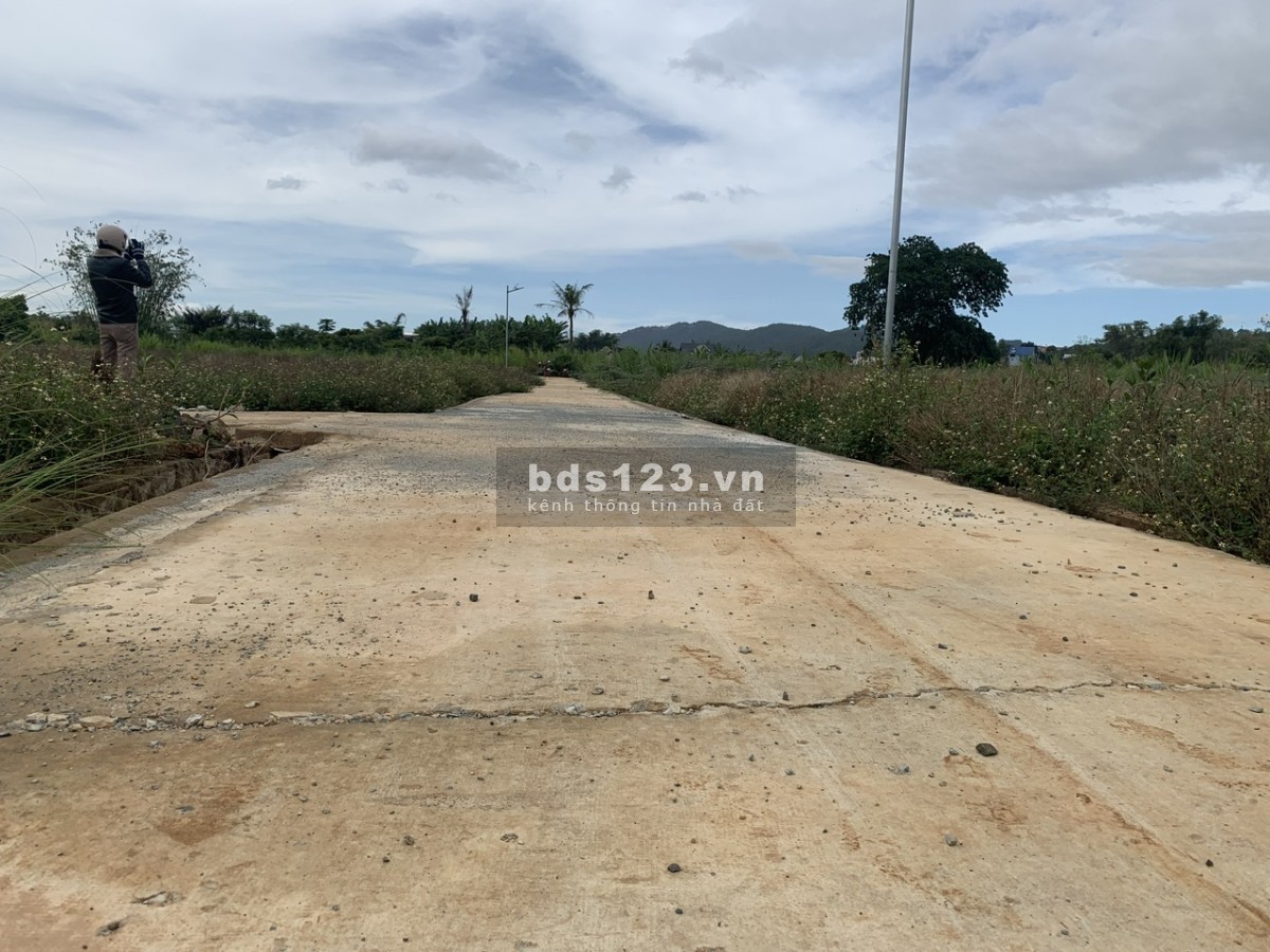 Bán biệt thự nam Đà Lạt 500m2 full thổ sổ riêng thổ cư