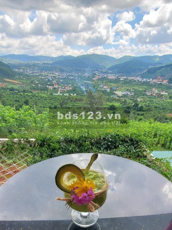 Bán biệt thự nam Đà Lạt 500m2 full thổ sổ riêng thổ cư