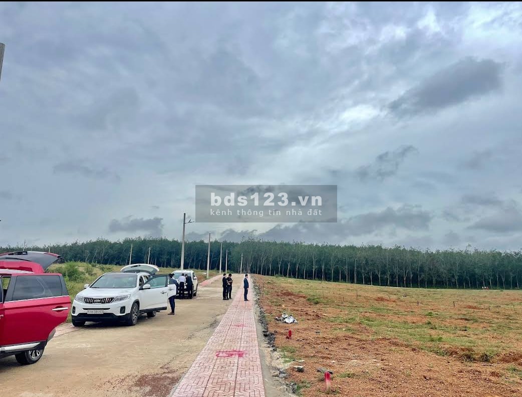 Đất Bình PhướcPhú lợi - Phú Riềng - Bình Phước
