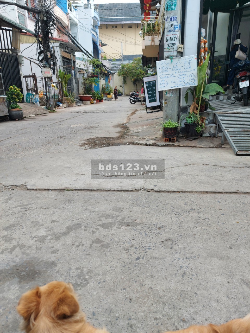 Bán nhà 2 MT hẻm xe hơi 55// Nguyễn Quý Yêm, An Lạc, Bình Tân