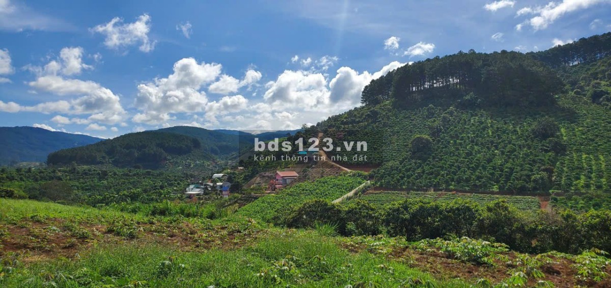 Bán đất biệt thự 2tr3/m2 tt Nam Ban, sổ riêng thổ cư công chứng
