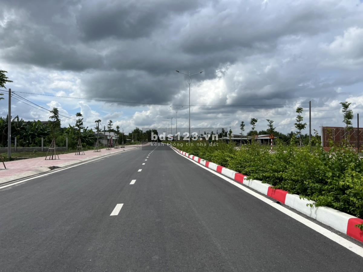 Cần bán đất lúa Thị trấn Đức Hòa