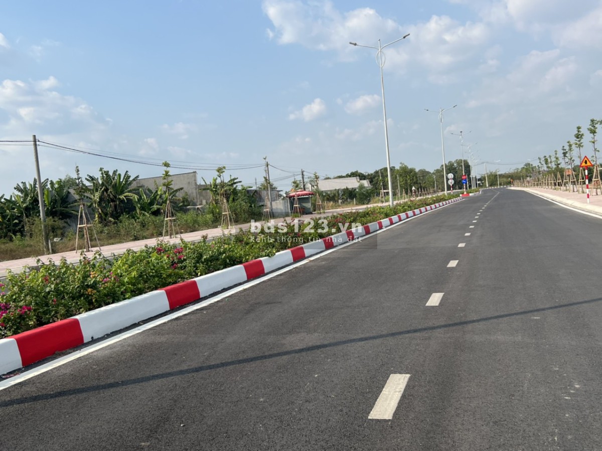 Cần bán đất lúa Thị trấn Đức Hòa
