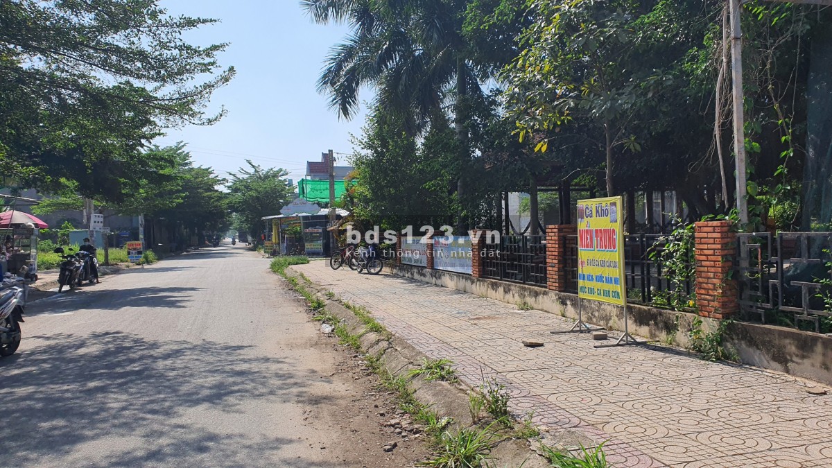 Chính Chủ Bán Nhanh đất đức Hòa Long An đường Tỉnh Lộ 824, Diện Tích 100m2 Shr