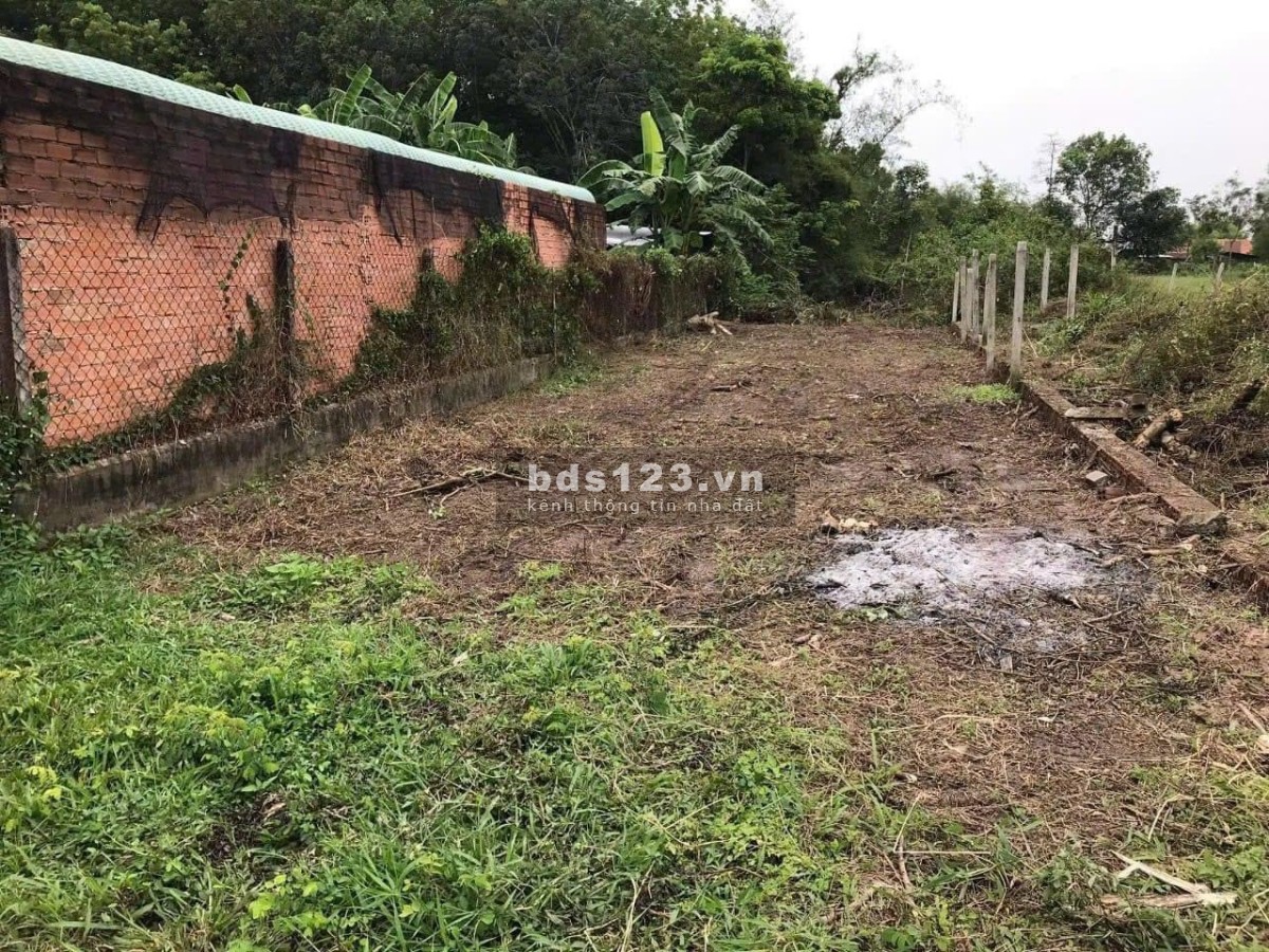 Thanh lý nhanh lô đất ngộp 193m² giá 590 triệu tại Tân An Hội, Củ Chi