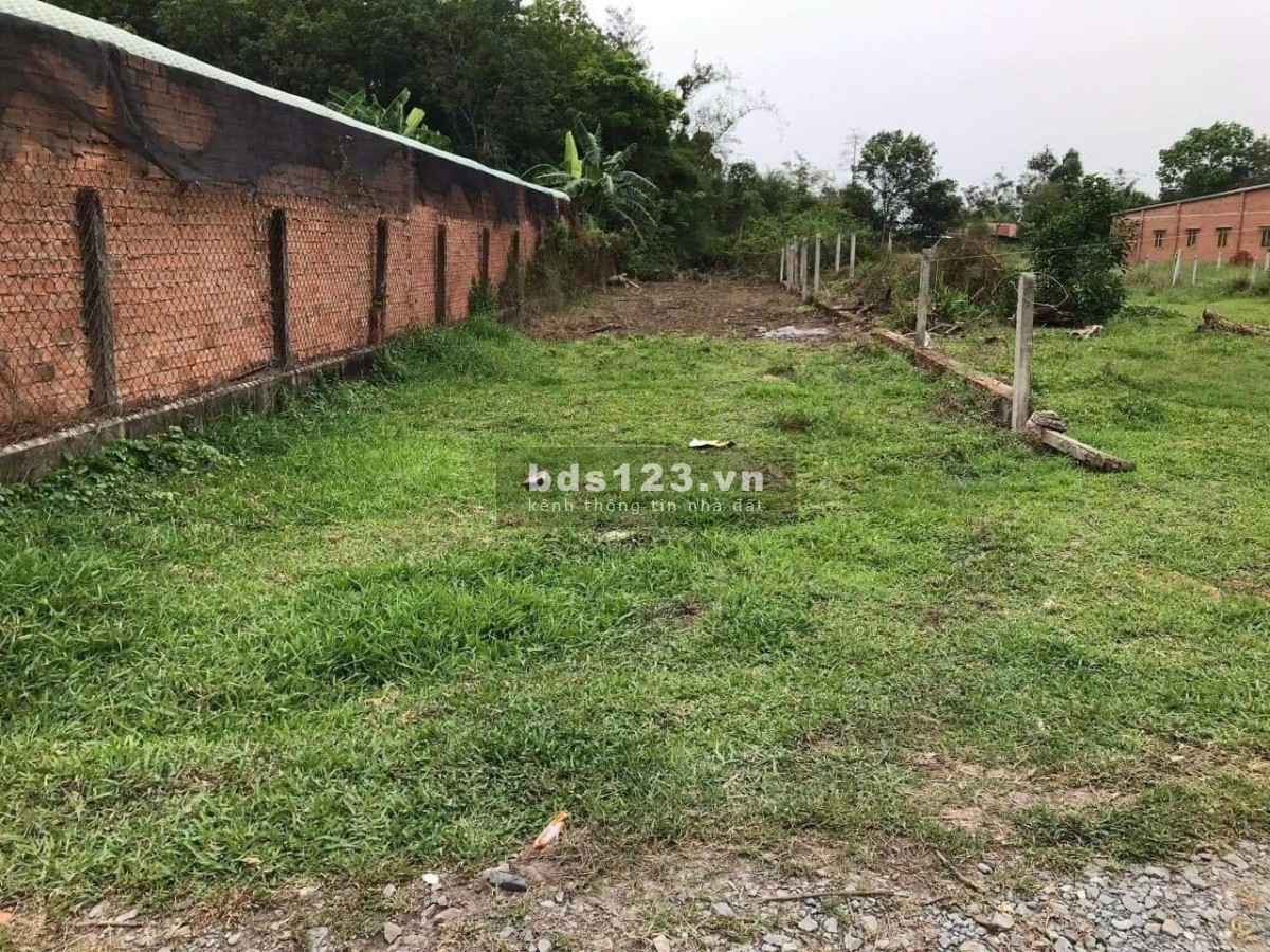Thanh lý nhanh lô đất ngộp 193m² giá 590 triệu tại Tân An Hội, Củ Chi