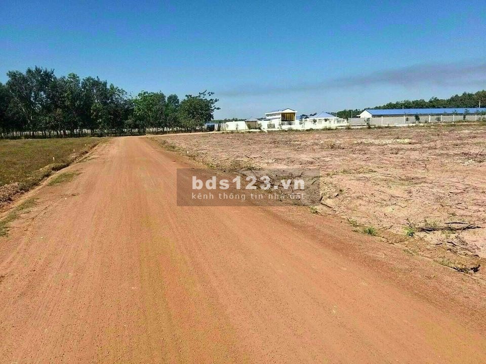Chính chủ bán nhanh lô 14x73 , sẵn điện nước, gần dân, 300tr sổ sẵn