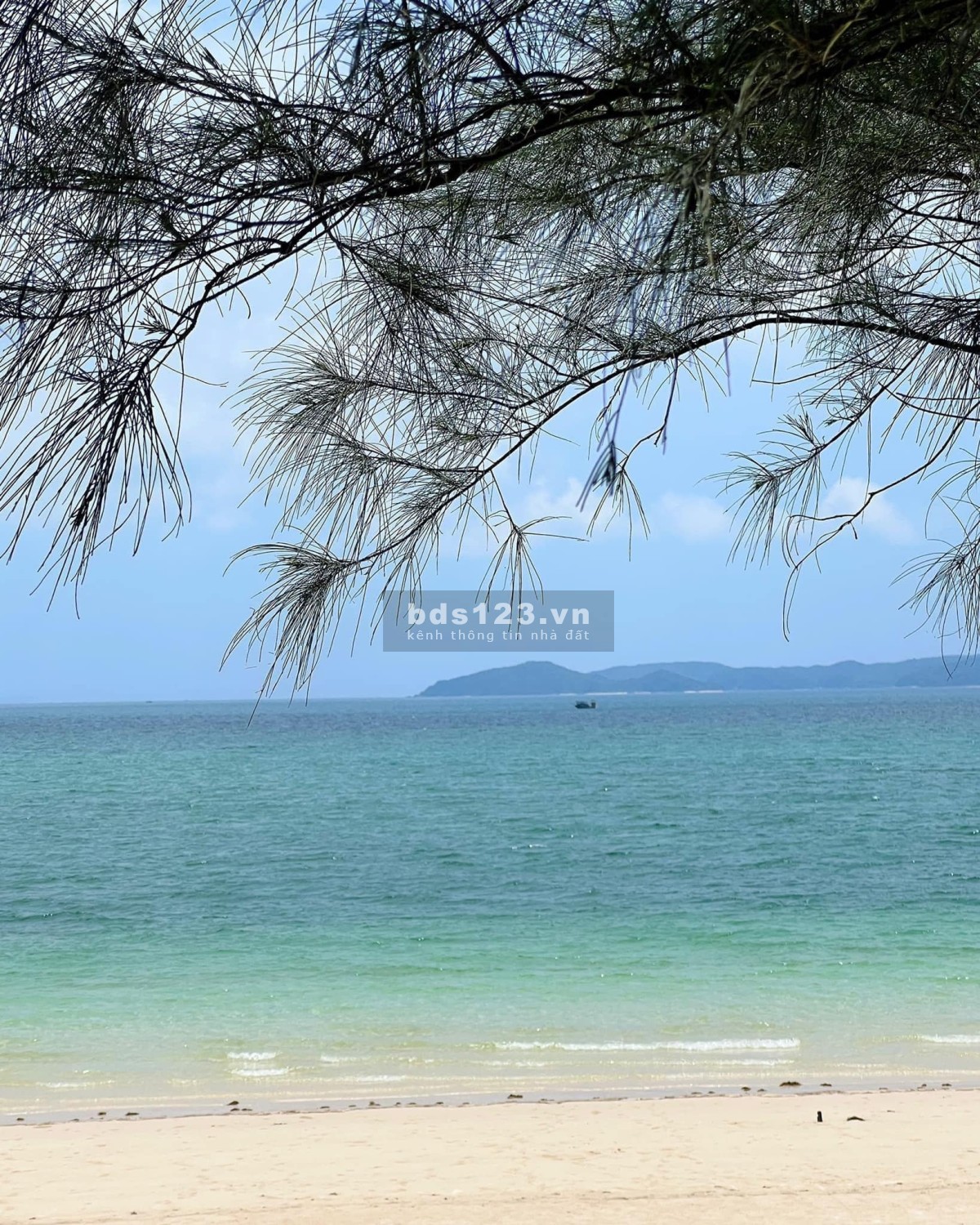 Bán đất đảo Cô Tô, mặt biển tình yêu, mặt tiền 7m