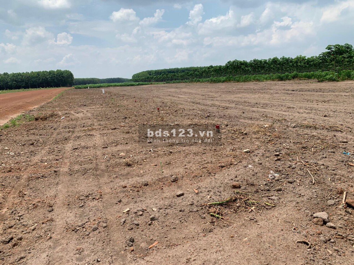 Bán gấp lô đất 300m diện tích 32m ngay Xã Minh Thắng Chơn Thành Bình Phước