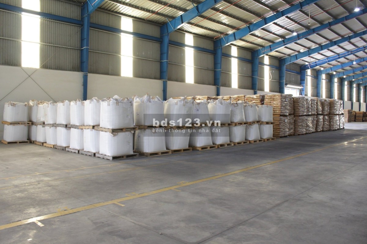 Cho thuê kho xưởng giá tốt 5000m2 mặt tiền đường Nguyễn Hữu Trí, H. Bình Chánh.