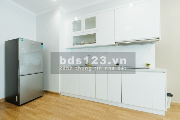 Cho thuê căn hộ 2 phòng ngủ tòa Park 11 - Vinhomes Times City