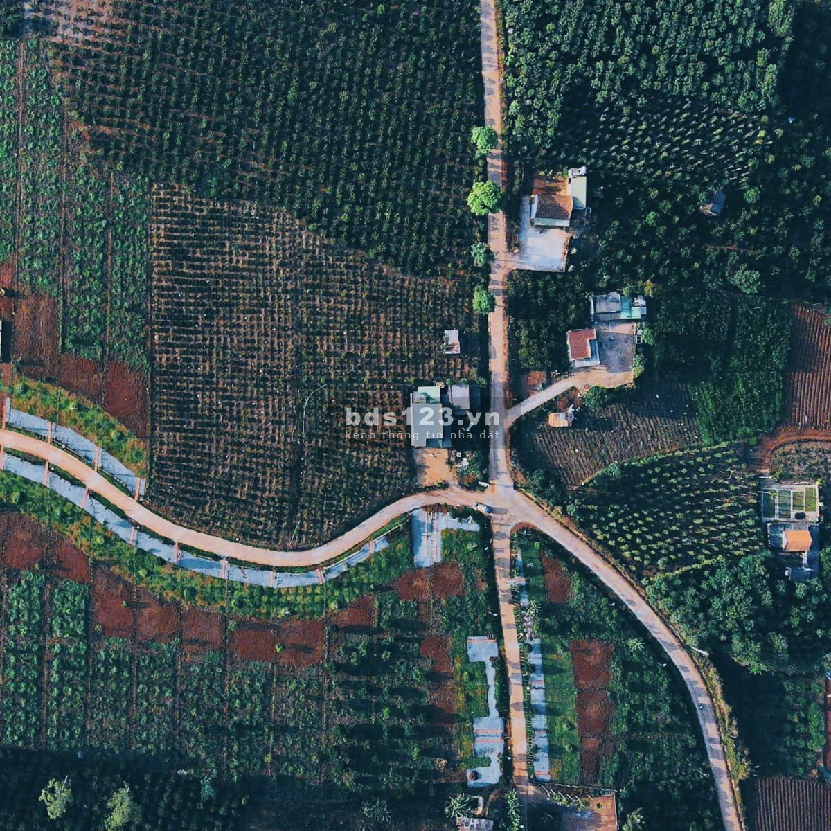 Đất 100% Sổ Hồng Diện Tích 1,106m2 Tại Đan Phượng, Lâm Hà