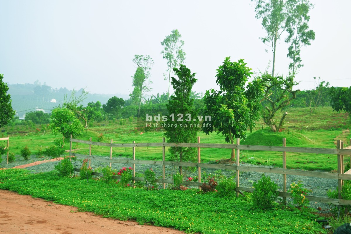 Đất 100% Sổ Hồng Diện Tích 1,106m2 Tại Đan Phượng, Lâm Hà
