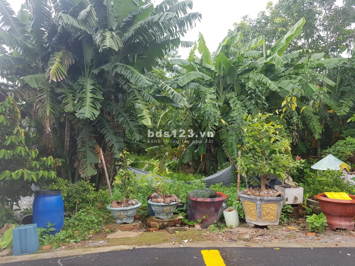 Hot - Lô đất ngộp rẻ nhất khu Đô Thị Thịnh Gia - Giá chưa tới 8tr/m2.