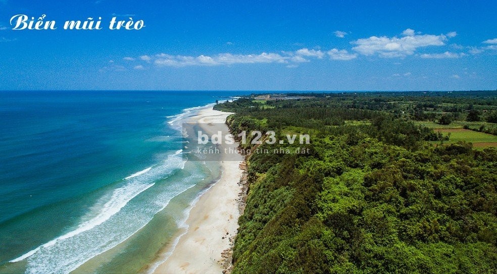 Bán đất view biển BĐS giá rẻ chỉ hơn 300triệu/ lô