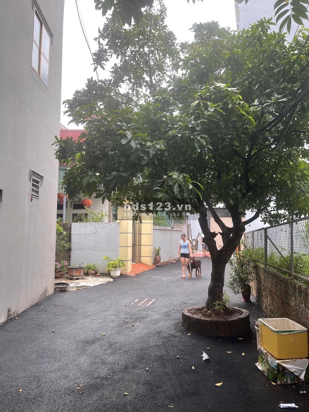 Bán nhà Cự Khối Long Biên 122m2, 3 tầng, mặt tiền 8,8m 4.85 tỷ,Lh 0971426909