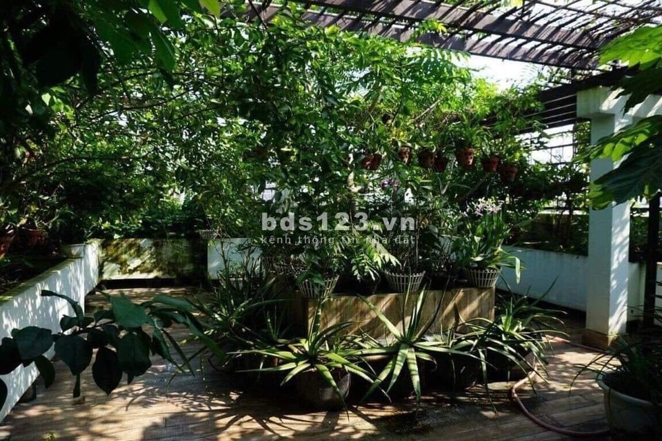 Siêu phẩm biệt thự gần Nguyễn Văn Trỗi, 5 tầng, 9,6x17, chỉ 3x tỷ
