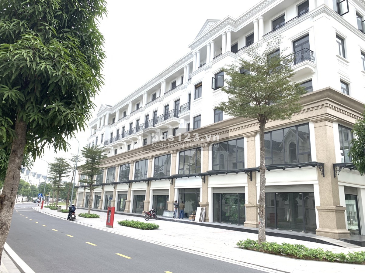 Bán nhanh biệt thự Song Lập Hảo Âu 150M2 giá 18tỷ Vinhomes Ocean Park Gia Lâm