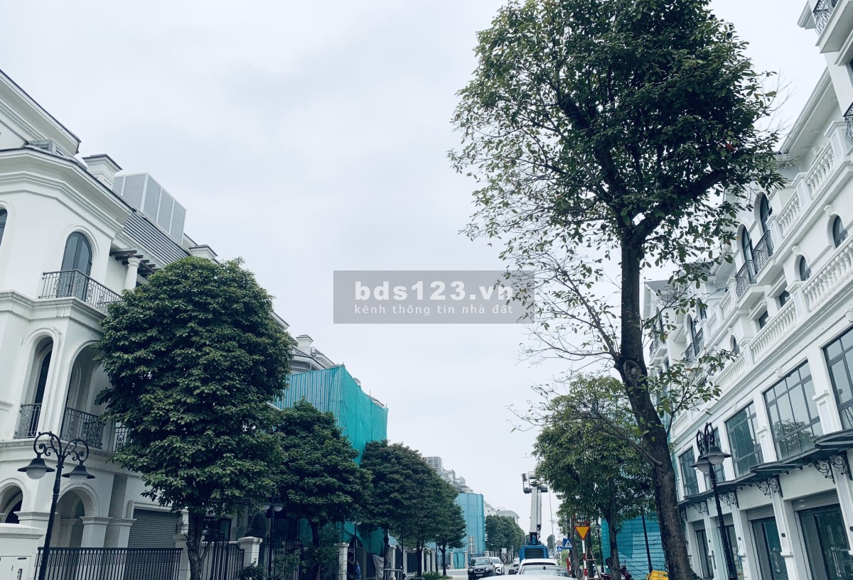 Bán nhanh biệt thự song lập sao biển 150m2 đông nam sát biển giá 22,5 tỷ Vinhomes Ocean Park Gia Lâm