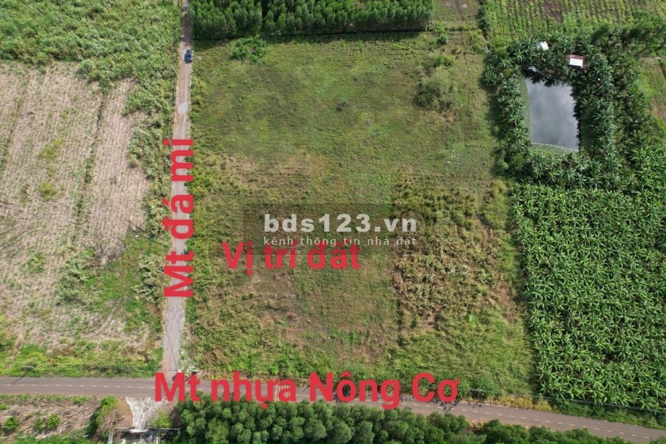 Bán đất Đồng Nai Huyện Trảng Bom mặt tiền đường Sông Thao DT 90m2